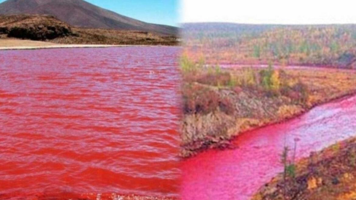 El Río Nilo está teñido de rojo