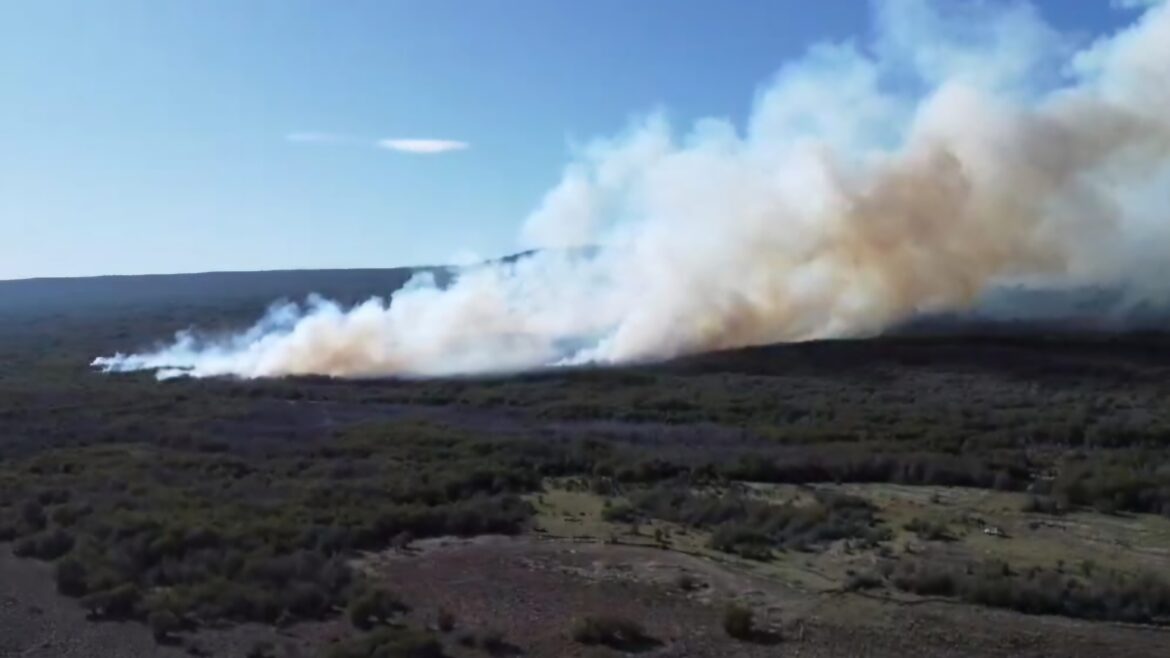 Alto incendio forestal en Río Pico