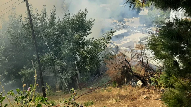 Metieron en cana a uno por el incendio de un cerro