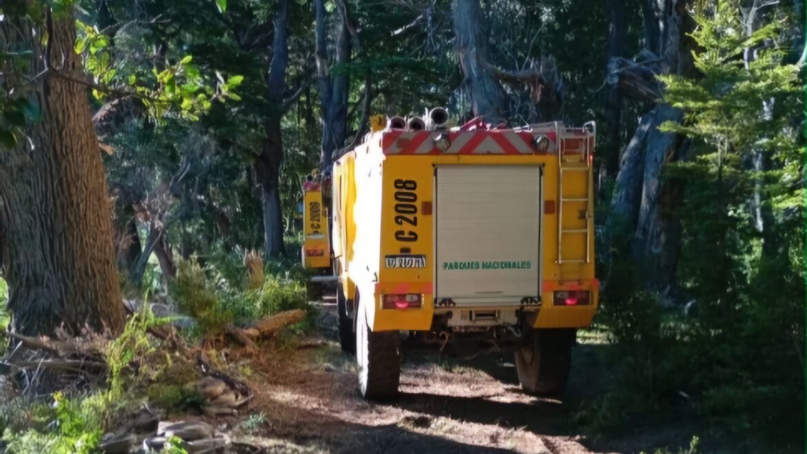 El fuego en la Cordi habría sido intencional