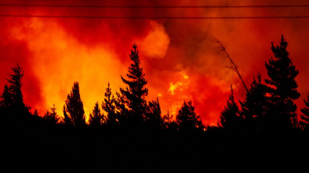 Se dieron cuenta: el gobierno confirmó la Emergencia Ígnea en la Patagonia