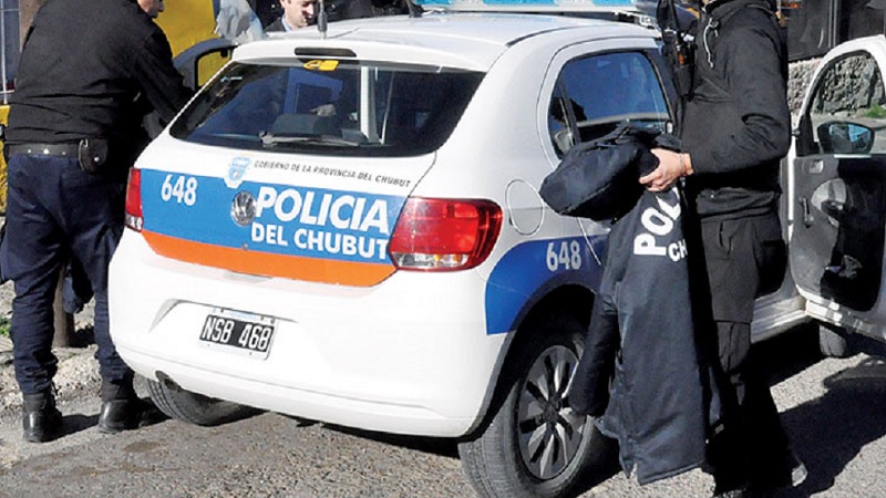 Tiraron piedras a la cana para defender a un vecino