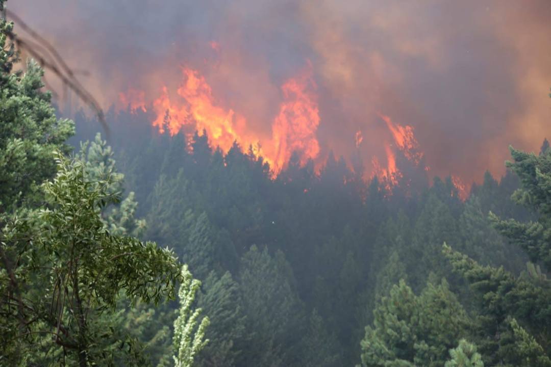 ¿Cómo arrancó el incendio en Epuyén?