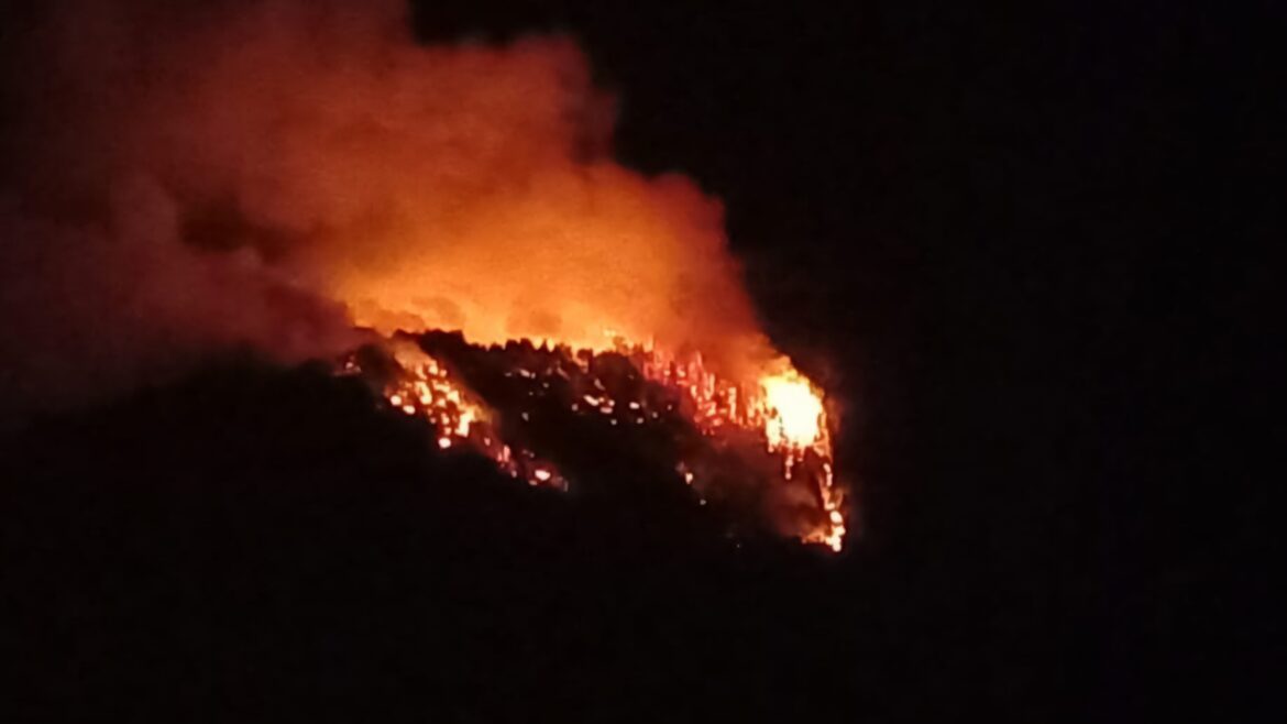 Otra vez, hay incendios en la Cordi