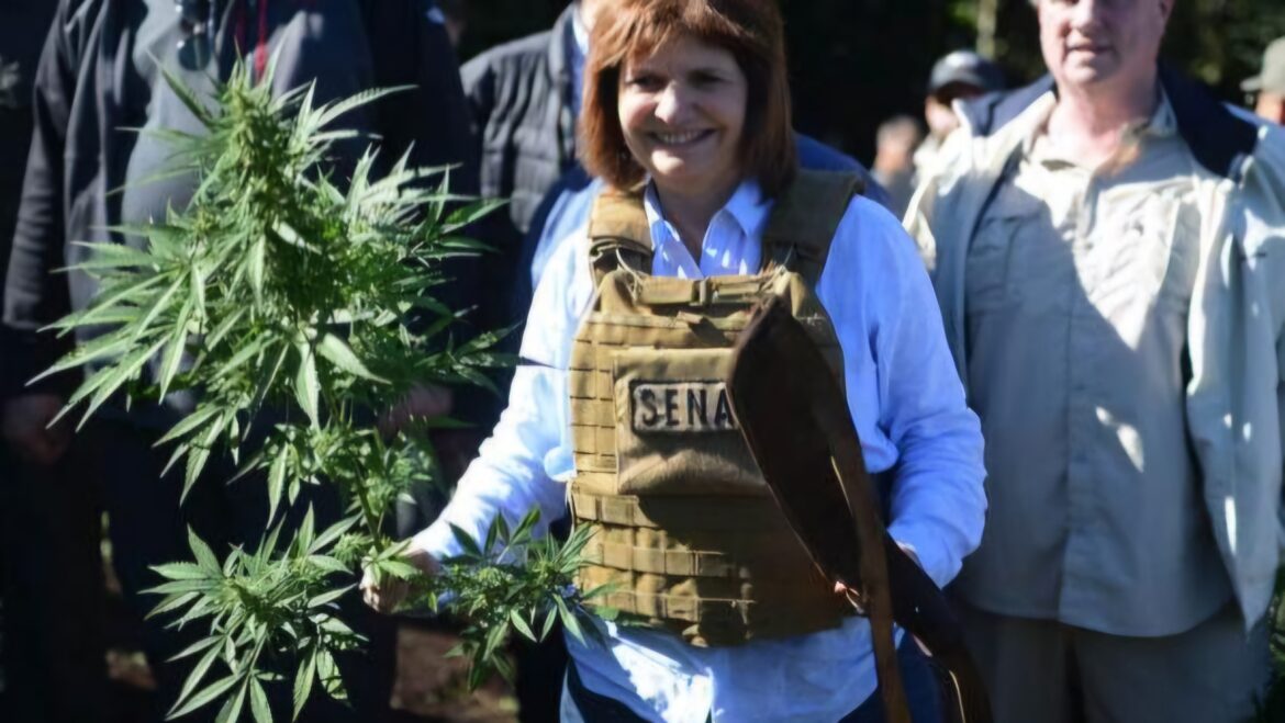 Pato Bullrich dio de baja el REPROCANN