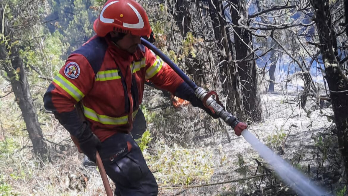 Brigadistas siguen peleando por sus sueldos