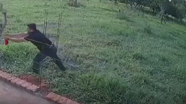 Buscan al roba tangas de Misiones